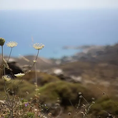 Kea 360 - Aristaeus Abode Villa