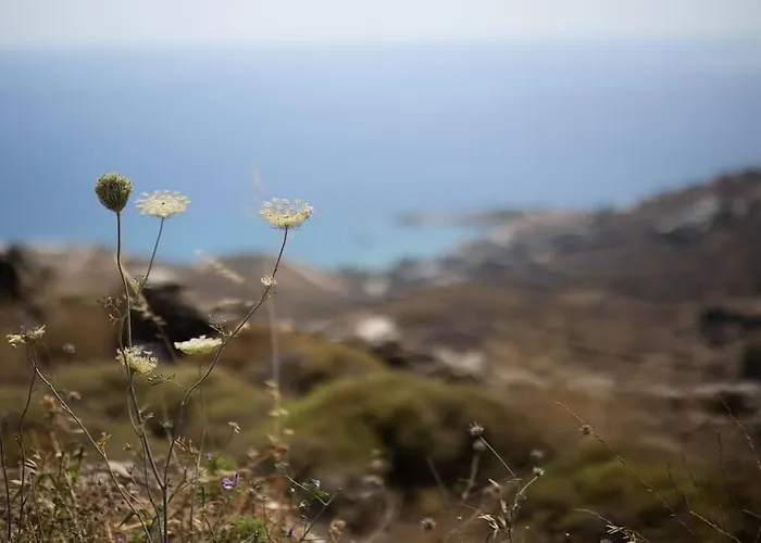Kea 360 - Aristaeus Abode Villa